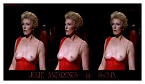 JulieAndrews_SOB_RW4_nitrovideo.jpg